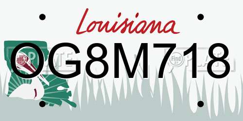 OG8M718 Louisiana License Plate