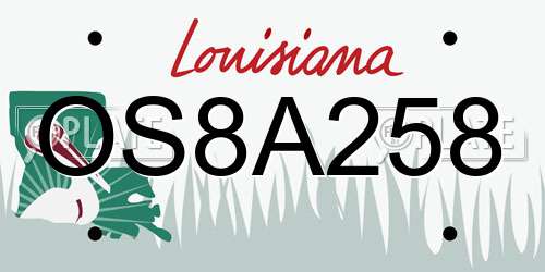 OS8A258 Louisiana License Plate
