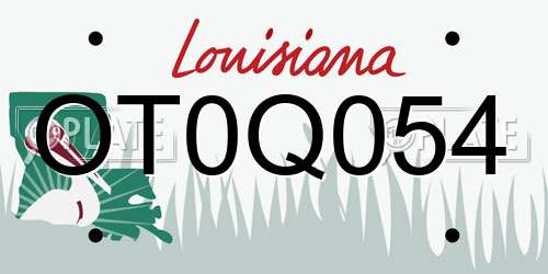 OT0Q054 Louisiana License Plate