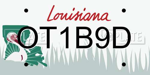 OT1B9D Louisiana License Plate