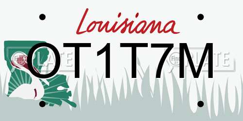 OT1T7M Louisiana License Plate