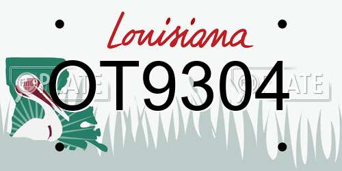 OT9304 Louisiana License Plate