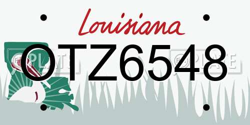 OTZ6548 Louisiana License Plate