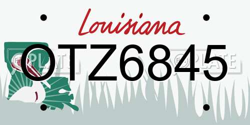 OTZ6845 Louisiana License Plate