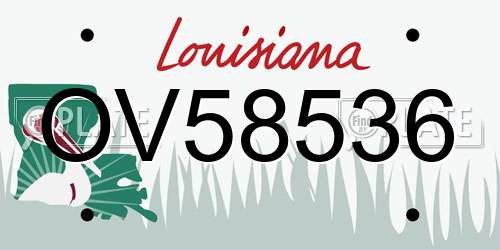 OV58536 Louisiana License Plate