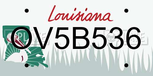 OV5B536 Louisiana License Plate