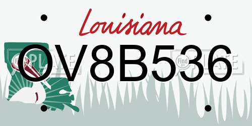 OV8B536 Louisiana License Plate