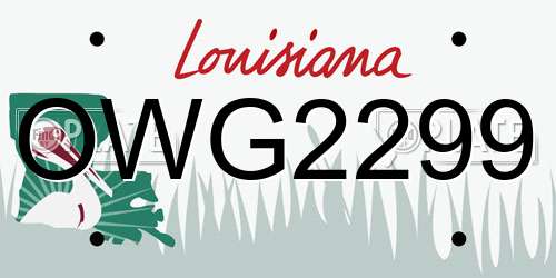 OWG2299 Louisiana License Plate