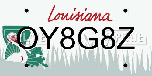 OY8G8Z Louisiana License Plate