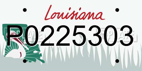 P0225303 Louisiana License Plate
