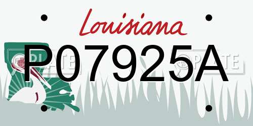 P07925A Louisiana License Plate