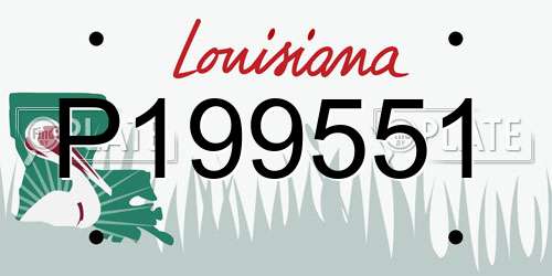 P199551 Louisiana License Plate