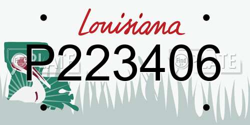 P223406 Louisiana License Plate