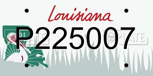 P225007 Louisiana License Plate