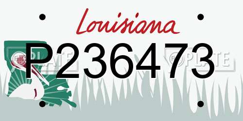 P236473 Louisiana License Plate