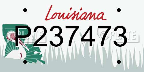 P237473 Louisiana License Plate