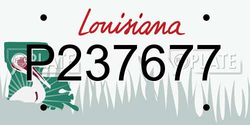 P237677 Louisiana License Plate