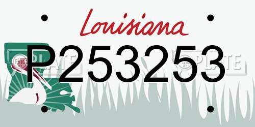 P253253 Louisiana License Plate