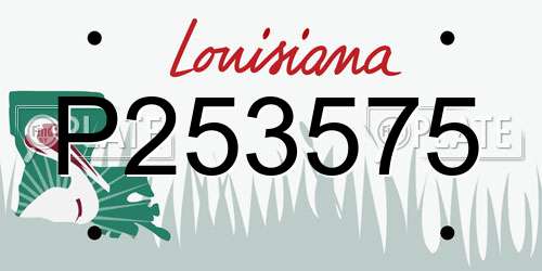 P253575 Louisiana License Plate
