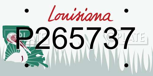 P265737 Louisiana License Plate