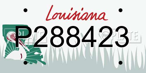 P288423 Louisiana License Plate