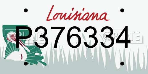 P376334 Louisiana License Plate