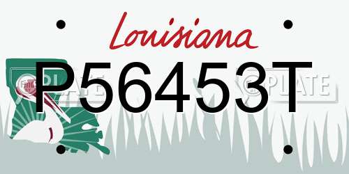 P56453T Louisiana License Plate