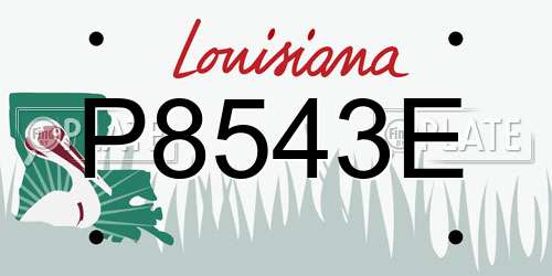 P8543E Louisiana License Plate