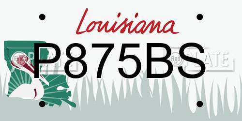 P875BS Louisiana License Plate