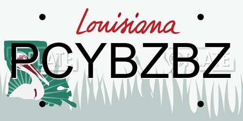 PCYBZBZ Louisiana License Plate
