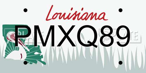 PMXQ89 Louisiana License Plate