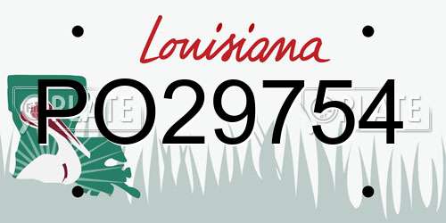 PO29754 Louisiana License Plate