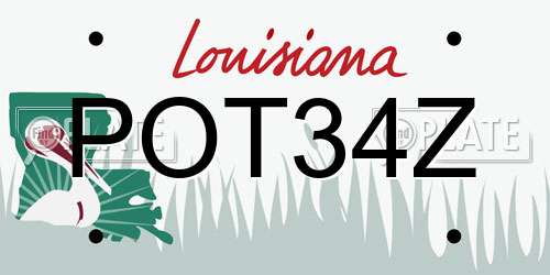 POT34Z Louisiana License Plate