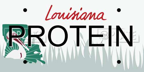 PROTEIN Louisiana License Plate