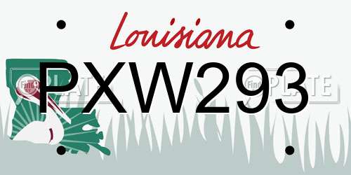 PXW293 Louisiana License Plate