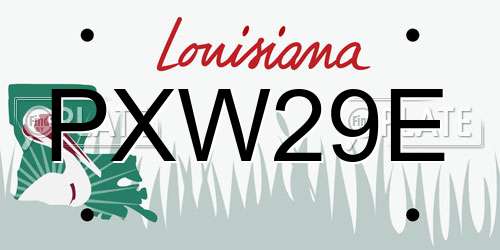 PXW29E Louisiana License Plate