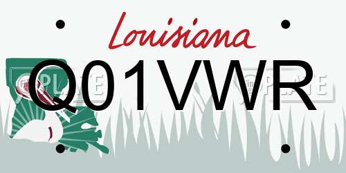 Q01VWR Louisiana License Plate