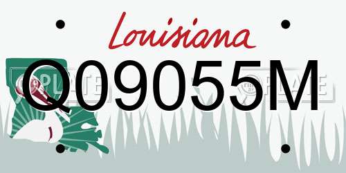 Q09055M Louisiana License Plate