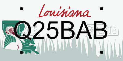 Q25BAB Louisiana License Plate