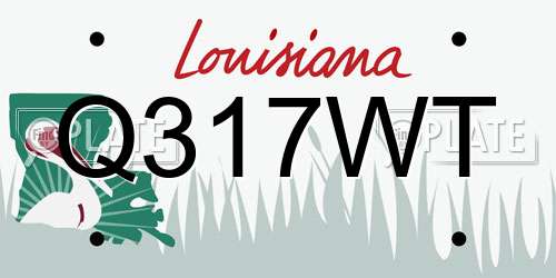 Q317WT Louisiana License Plate