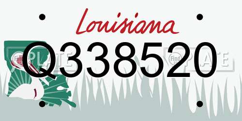 Q338520 Louisiana License Plate