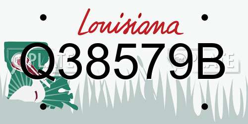 Q38579B Louisiana License Plate