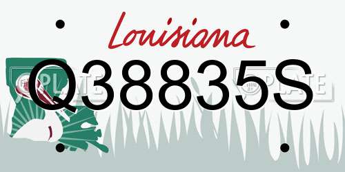 Q38835S Louisiana License Plate