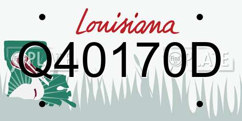 Q40170D Louisiana License Plate