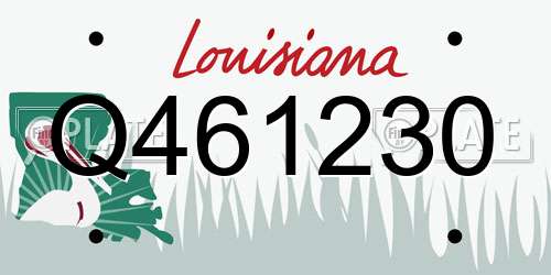Q461230 Louisiana License Plate