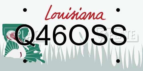 Q46OSS Louisiana License Plate