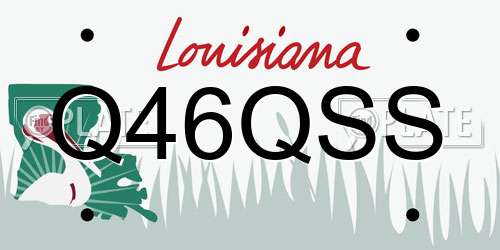 Q46QSS Louisiana License Plate