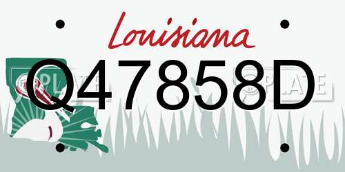 Q47858D Louisiana License Plate