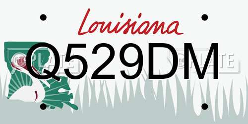 Q529DM Louisiana License Plate