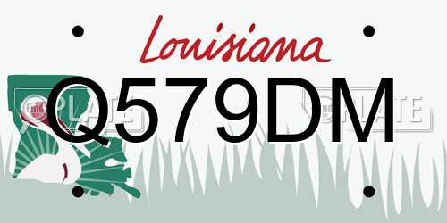 Q579DM Louisiana License Plate